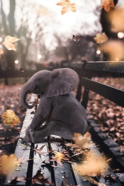 GEN Z: Baby Elephant Sitting On A Bench In Autumn by GEN Z