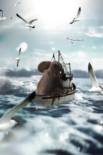 Baby Elephant On A Fishing Boat by GEN Z framed canvas print