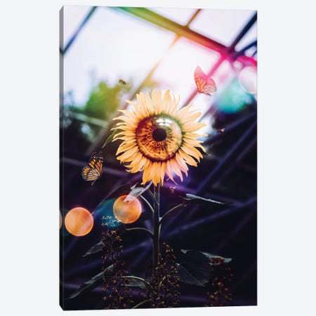 The Eye Of The Sunflower Canvas Print #GEZ355} by GEN Z Art Print