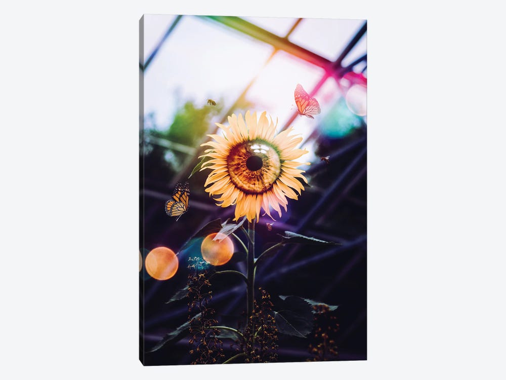 The Eye Of The Sunflower by GEN Z 1-piece Canvas Print