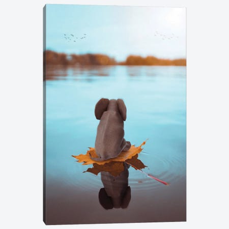 Baby Elephant On A Leaf Floating On The Water Canvas Print #GEZ35} by GEN Z Art Print