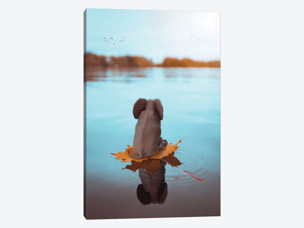 Baby Elephant On A Leaf Floating On The Water by GEN Z 1-piece Canvas Artwork