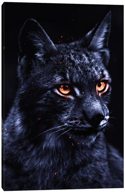 Feline Lynx Gray And Blue Color Canvas Art Print - Lynx