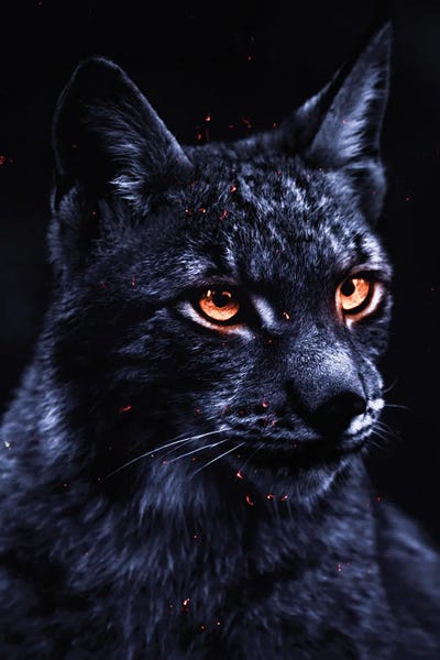 Lynx: Feline Lynx Gray And Blue Color by GEN Z