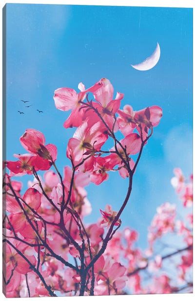 Aesthetic Pink Flowers Canvas Art Print - GEN Z