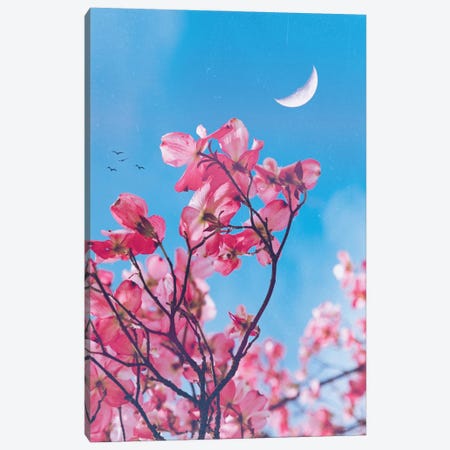 Aesthetic Pink Flowers Canvas Print #GEZ369} by GEN Z Canvas Print