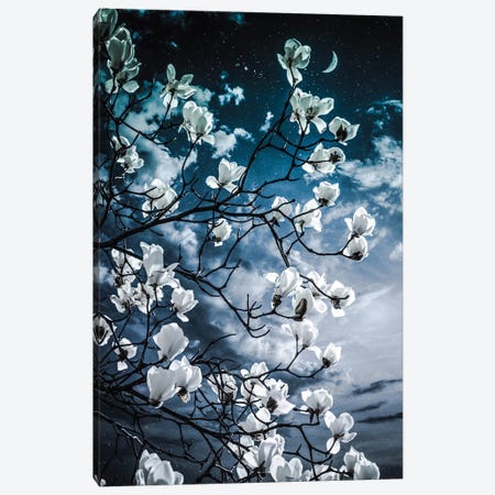 Aesthetic Magnolia Canvas Print #GEZ370} by GEN Z Canvas Artwork