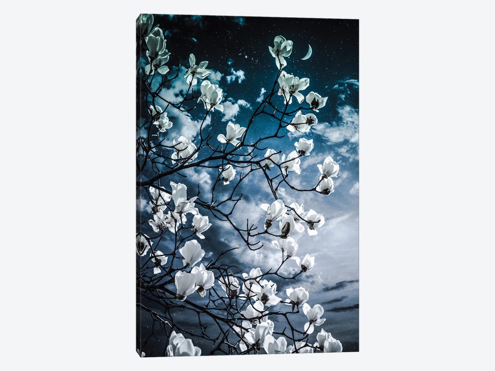 Aesthetic Magnolia by GEN Z 1-piece Canvas Wall Art