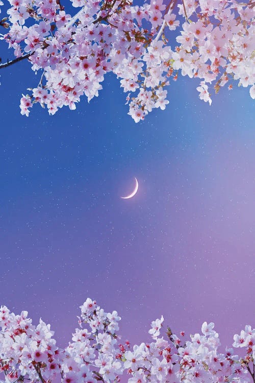 Aesthetic Flowers Crescent Moon