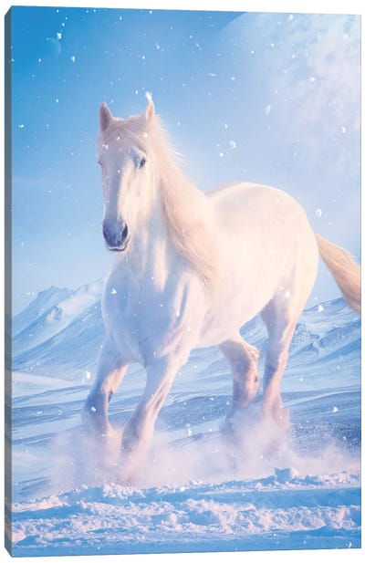 White Horse In Snow Canvas Art Print - GEN Z