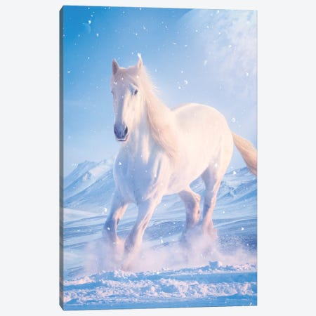 White Horse In Snow Canvas Print #GEZ375} by GEN Z Art Print
