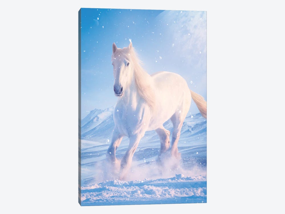 White Horse In Snow by GEN Z 1-piece Canvas Print