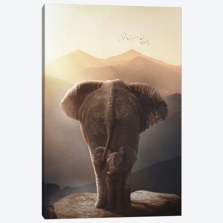 Baby Elephant Mother Protection Canvas Print #GEZ37} by GEN Z Art Print