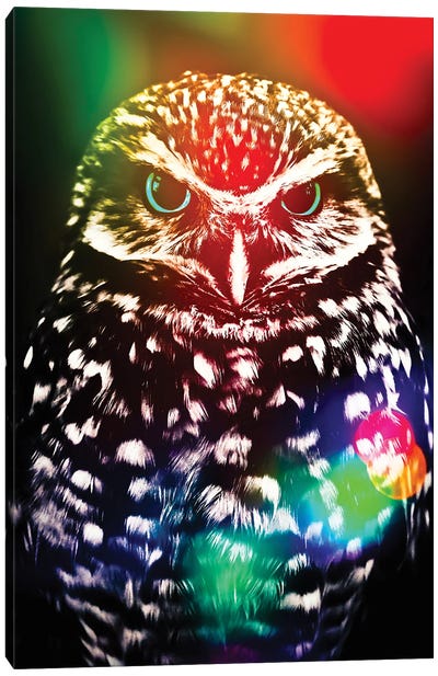 Little Owl And Multicolor Effect Canvas Art Print - GEN Z