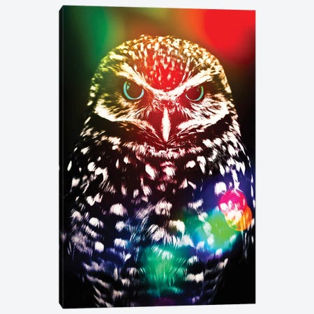 Little Owl And Multicolor Effect Canvas Print #GEZ382} by GEN Z Canvas Art Print