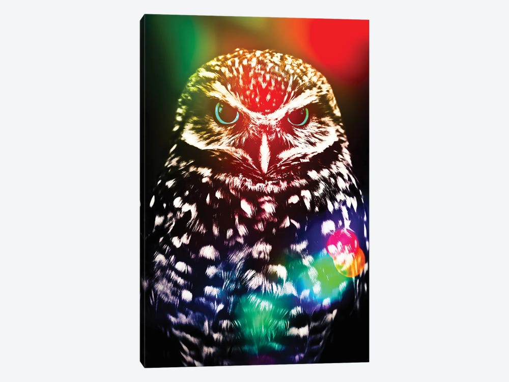 Little Owl And Multicolor Effect by GEN Z 1-piece Canvas Art Print