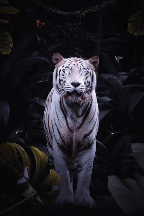 White Tiger With Bright Eyes