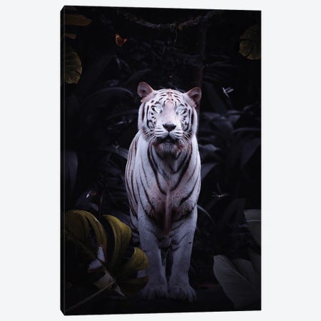 White Tiger With Bright Eyes Canvas Print #GEZ383} by GEN Z Art Print