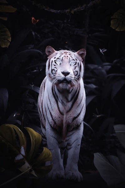 GEN Z: White Tiger With Bright Eyes by GEN Z