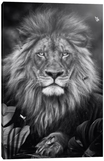 Lion In Black And White In Exotic Jungle Canvas Art Print - GEN Z