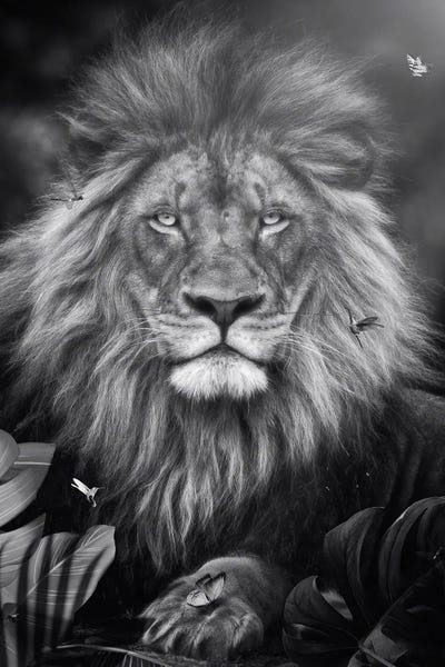 Lions: Lion In Black And White In Exotic Jungle by GEN Z