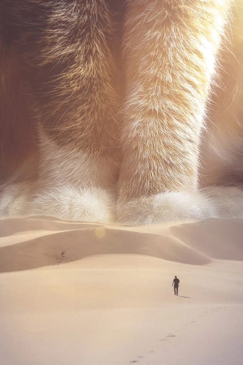 Giant Cat In Desert Sand Dunes