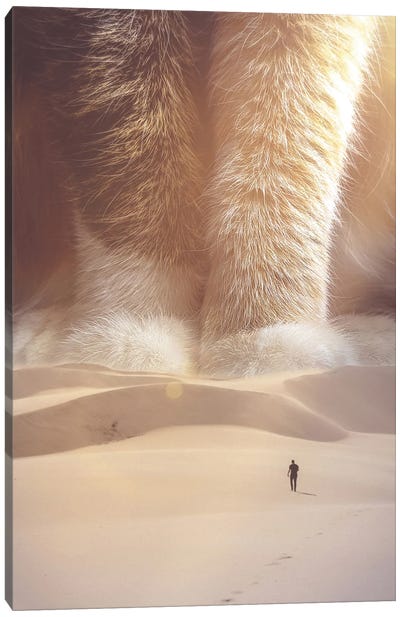 Giant Cat In Desert Sand Dunes Canvas Art Print - Gentle Giants