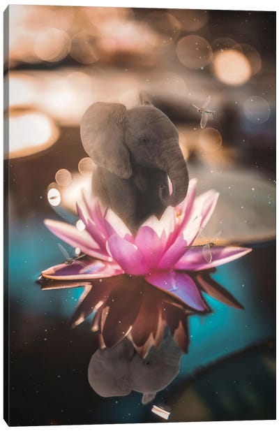 Baby Elephant Sitting In Pink Waterlily Canvas Art Print - Lily Art