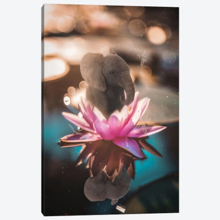 Baby Elephant Sitting In Pink Waterlily Canvas Print #GEZ39} by GEN Z Canvas Wall Art