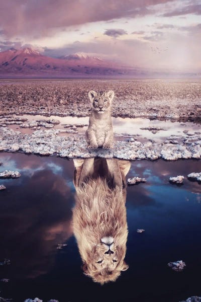 Through The Looking Glass: Baby Lion Will Grow Up by GEN Z