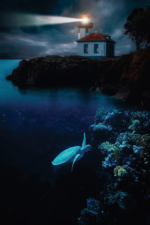 Turtle In The Corals And Lighthouse