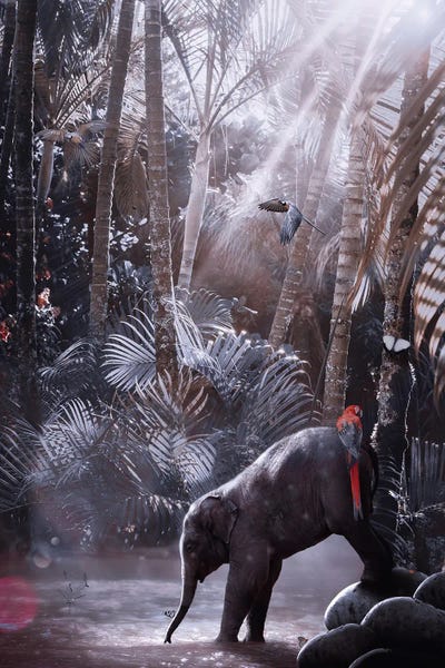 Jungles: Baby Elephant In River Tropical Jungle by GEN Z