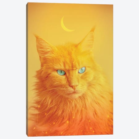 Phoenix Cat Totem Animal And Crescent Moon Canvas Print #GEZ407} by GEN Z Canvas Art Print
