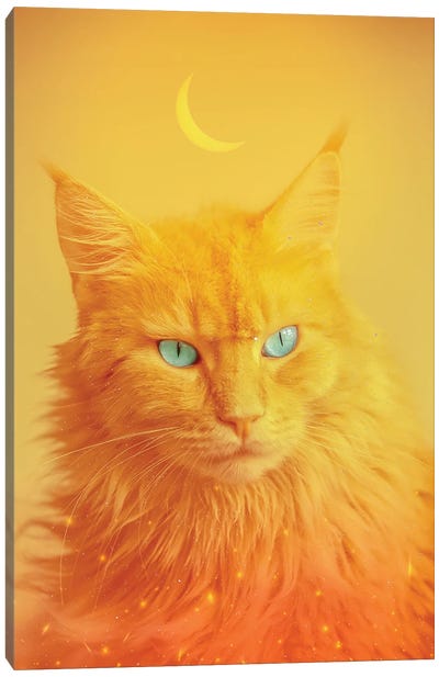 Phoenix Cat Totem Animal And Crescent Moon Canvas Art Print - GEN Z