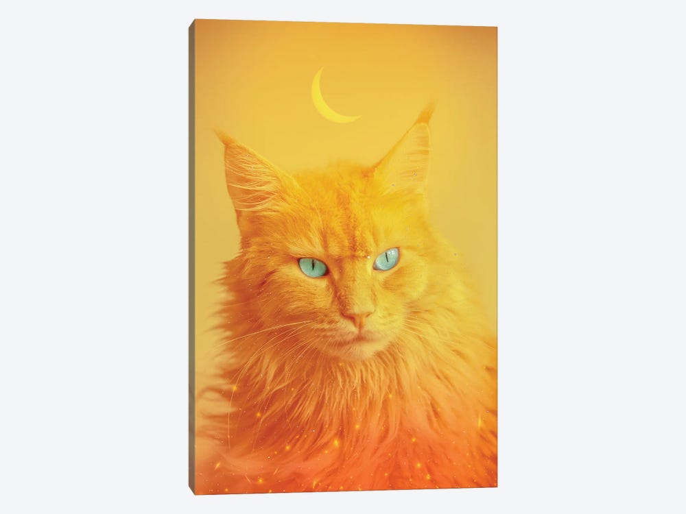 Phoenix Cat Totem Animal And Crescent Moon by GEN Z 1-piece Canvas Print