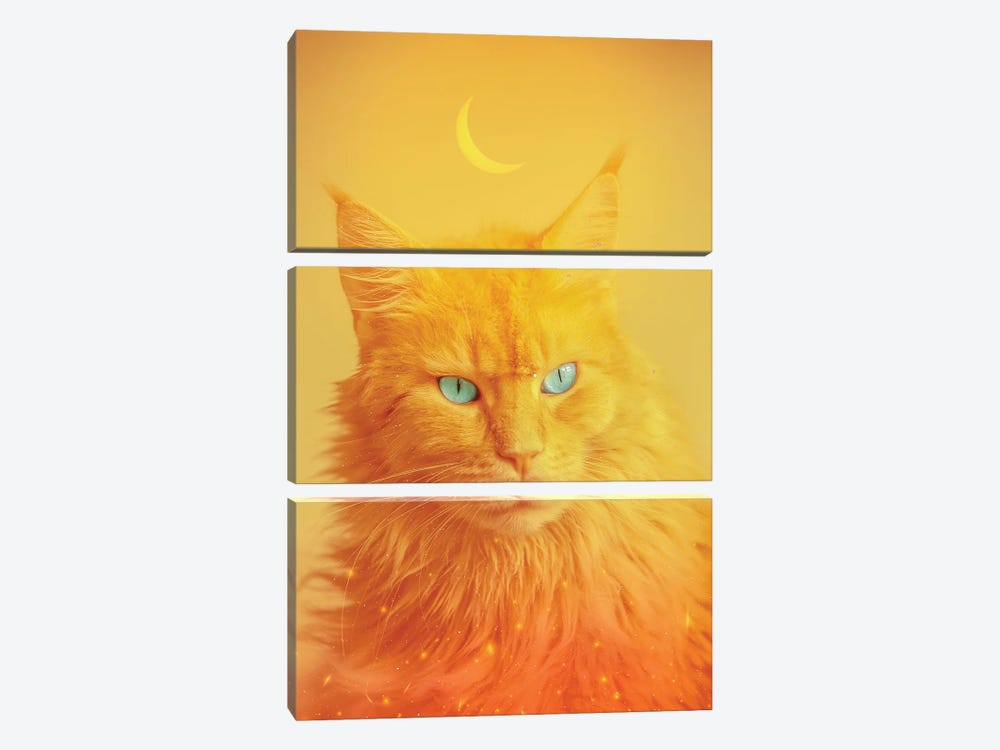Phoenix Cat Totem Animal And Crescent Moon by GEN Z 3-piece Canvas Print