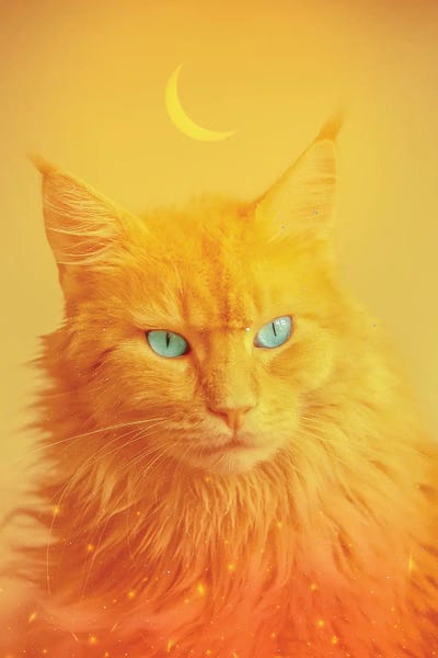 Orange Cats: Phoenix Cat Totem Animal And Crescent Moon by GEN Z
