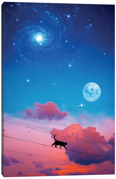 Cat Silhouette In The Sky And Moon Canvas Art Print - GEN Z