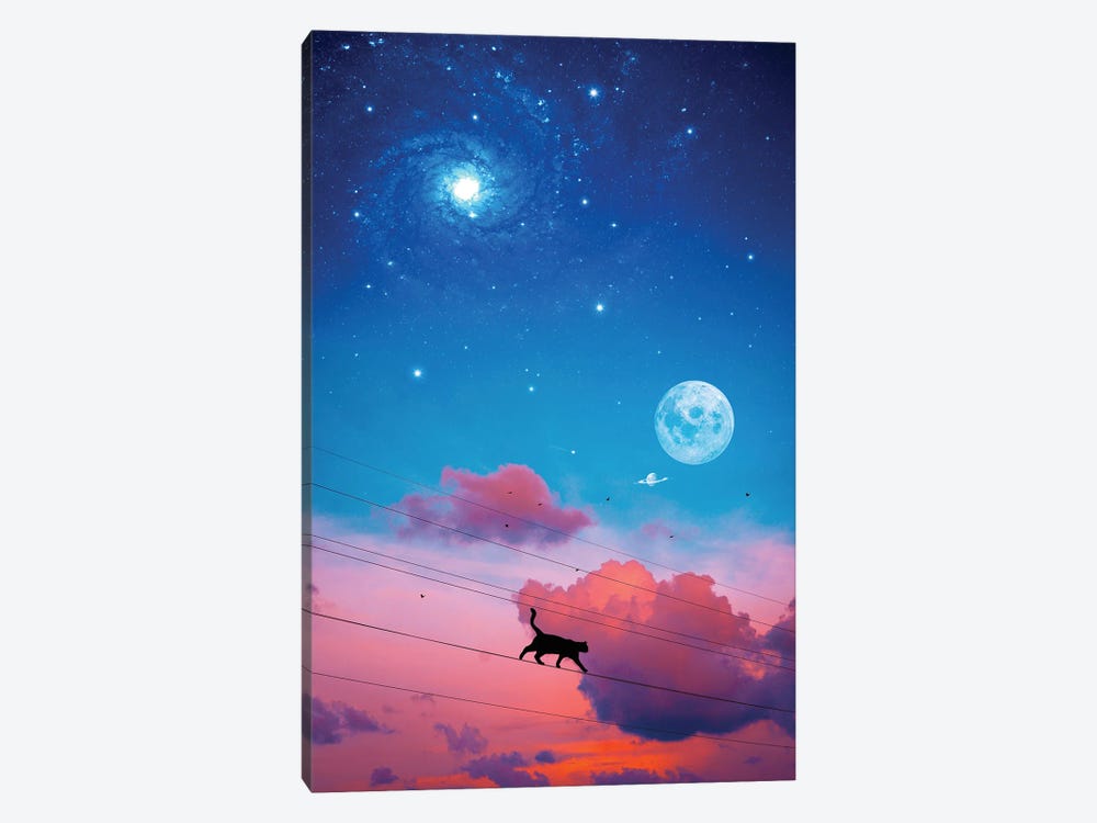 Cat Silhouette In The Sky And Moon by GEN Z 1-piece Canvas Artwork