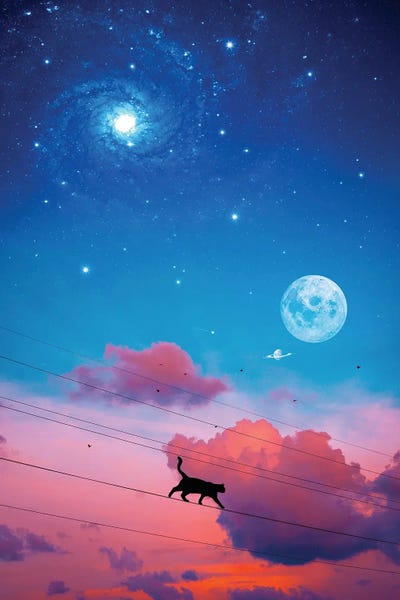 GEN Z: Cat Silhouette In The Sky And Moon by GEN Z