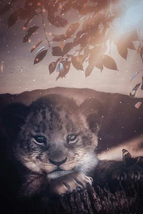 Baby Lion On A Tree Stump With A Butterfly