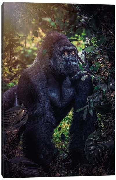 Silverback Gorilla In The Jungle Canvas Art Print - Primate Art