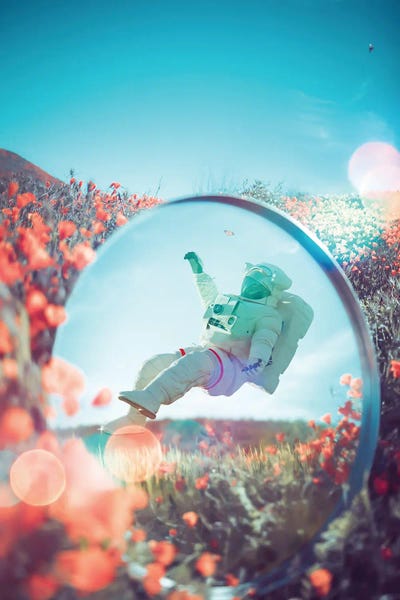 Astronaut In The Mirror And Flowers