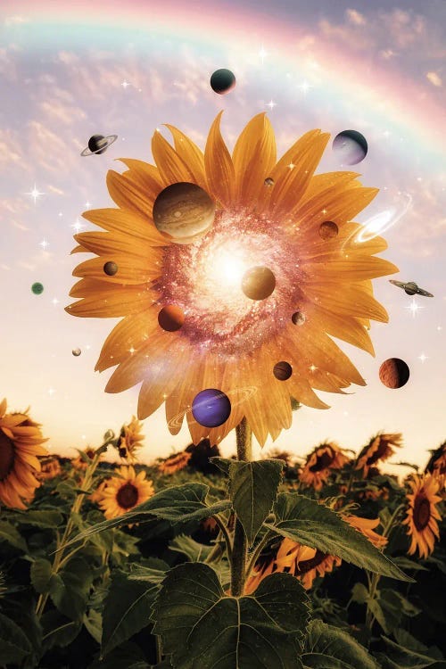 Sunflower, Rainbow And Solar System