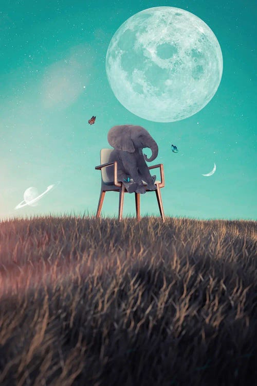 Baby Elephant And The Three Moons