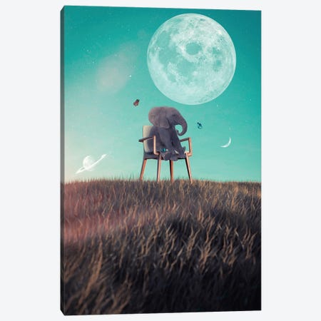 Baby Elephant And The Three Moons Canvas Print #GEZ429} by GEN Z Canvas Wall Art