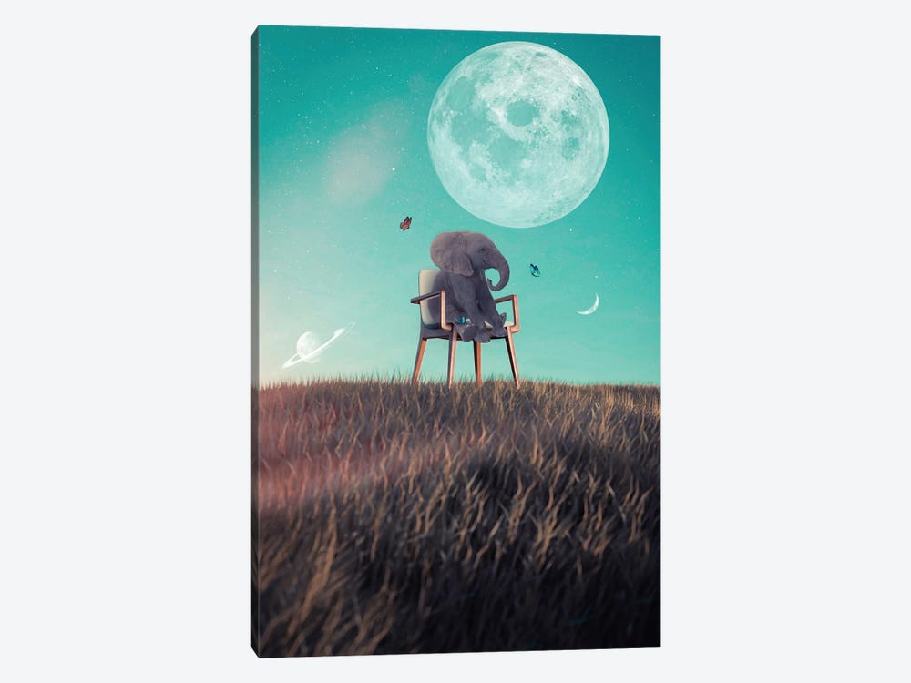 Baby Elephant And The Three Moons by GEN Z 1-piece Canvas Print