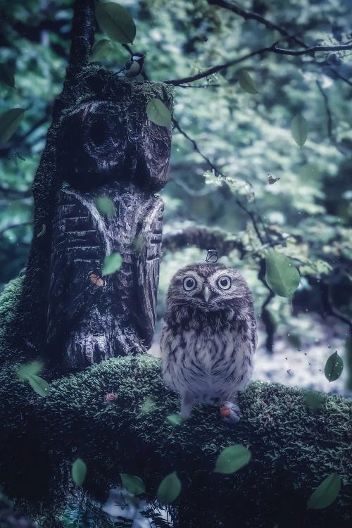 Baby Owl And Wood Totem In Forest