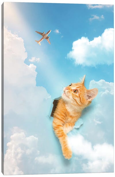 Kitten Piercing The Blue Sky Clouds Canvas Art Print - Kitten Art
