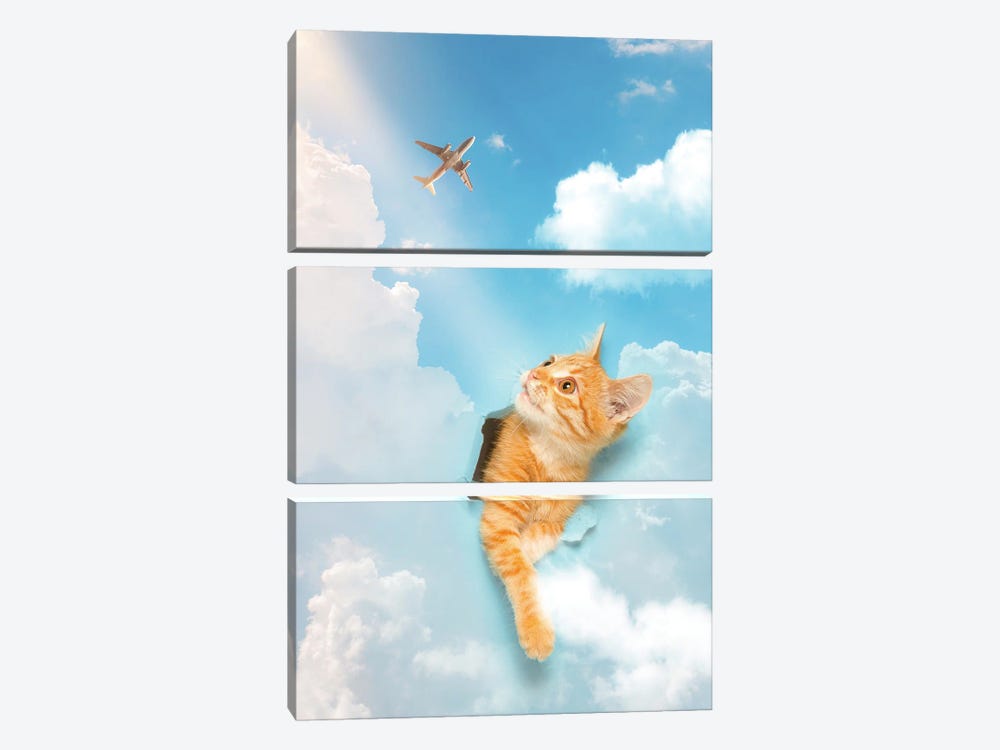 Kitten Piercing The Blue Sky Clouds by GEN Z 3-piece Canvas Art